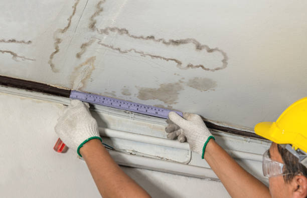 Reliable Structural Drying contractor in South Webster, OH by Water Damage Irwin